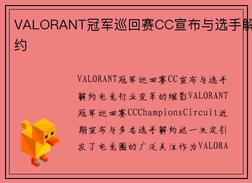VALORANT冠军巡回赛CC宣布与选手解约